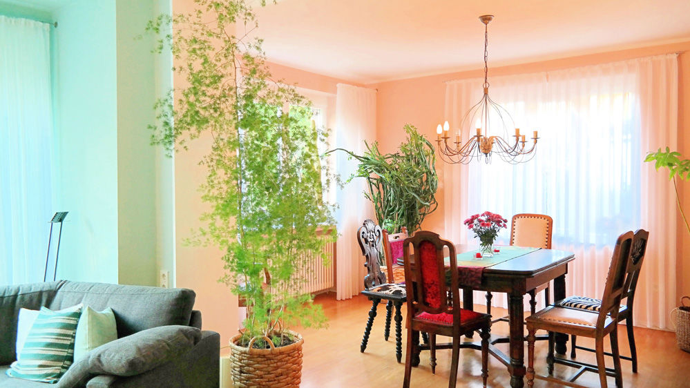 Wohnzimmer mit türkis- und pfirsichfarbenem Wandanstrich